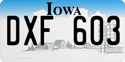 IA license plate DXF603