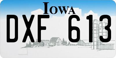 IA license plate DXF613