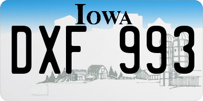 IA license plate DXF993