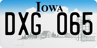 IA license plate DXG065