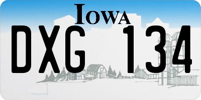 IA license plate DXG134