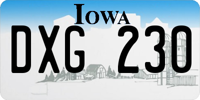 IA license plate DXG230