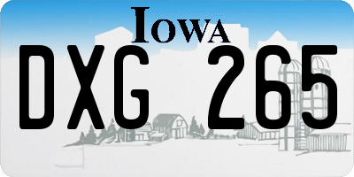 IA license plate DXG265