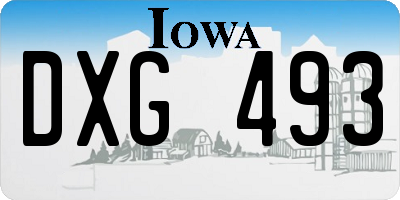 IA license plate DXG493