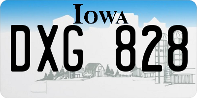 IA license plate DXG828