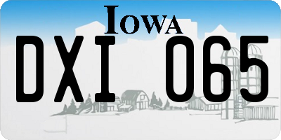 IA license plate DXI065