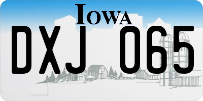 IA license plate DXJ065
