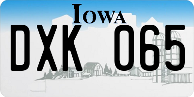 IA license plate DXK065