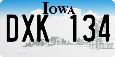 IA license plate DXK134