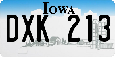 IA license plate DXK213