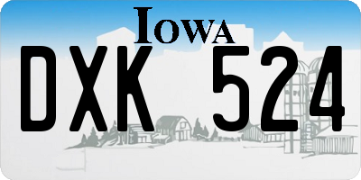 IA license plate DXK524