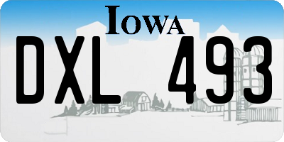 IA license plate DXL493