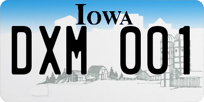 IA license plate DXM001