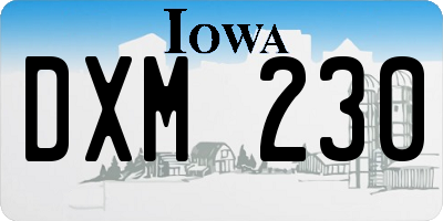 IA license plate DXM230