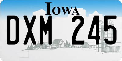 IA license plate DXM245