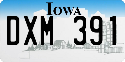 IA license plate DXM391