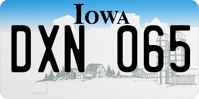 IA license plate DXN065