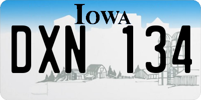 IA license plate DXN134