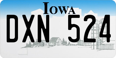 IA license plate DXN524