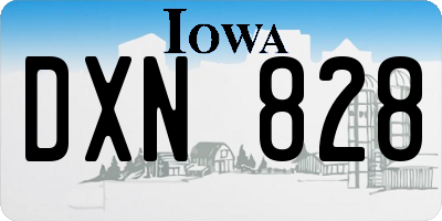 IA license plate DXN828