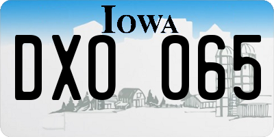IA license plate DXO065