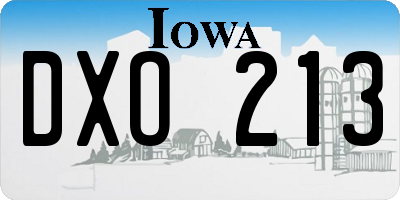 IA license plate DXO213