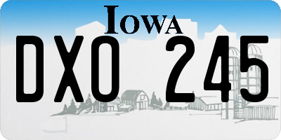 IA license plate DXO245