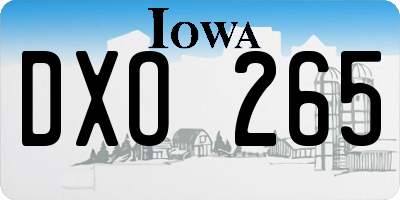 IA license plate DXO265