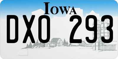 IA license plate DXO293