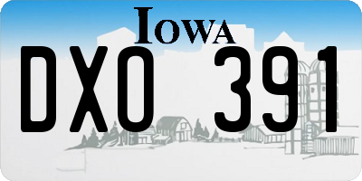 IA license plate DXO391