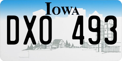 IA license plate DXO493