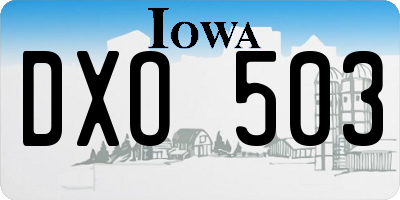 IA license plate DXO503