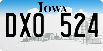 IA license plate DXO524