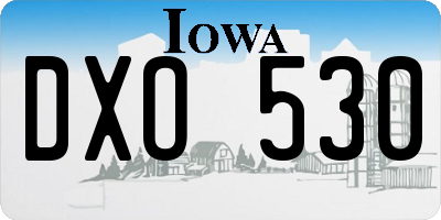 IA license plate DXO530