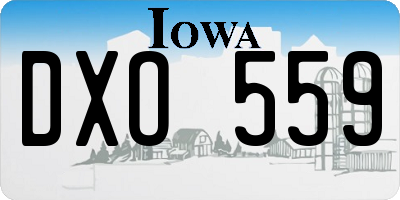IA license plate DXO559