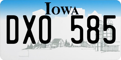 IA license plate DXO585