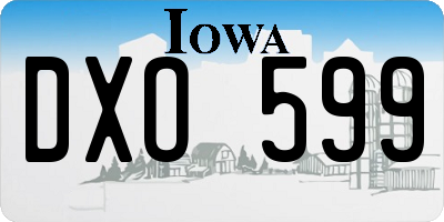 IA license plate DXO599