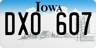 IA license plate DXO607