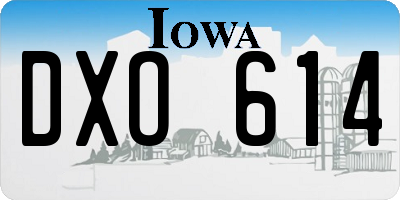 IA license plate DXO614