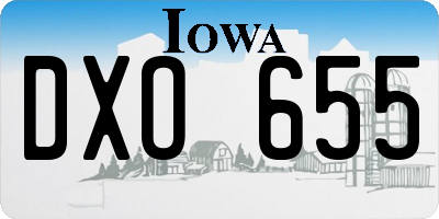 IA license plate DXO655