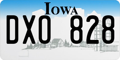 IA license plate DXO828
