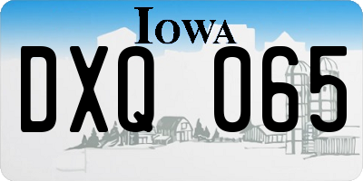 IA license plate DXQ065