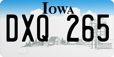 IA license plate DXQ265