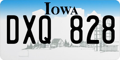 IA license plate DXQ828