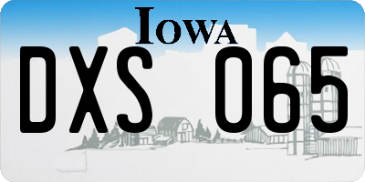 IA license plate DXS065