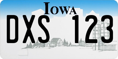 IA license plate DXS123