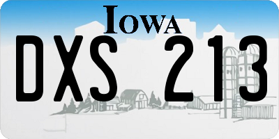 IA license plate DXS213