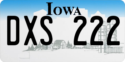 IA license plate DXS222