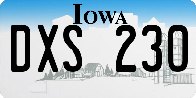 IA license plate DXS230