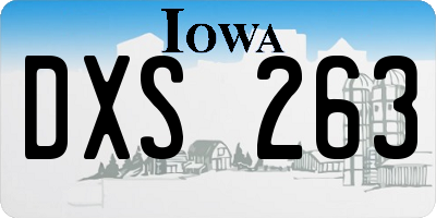 IA license plate DXS263